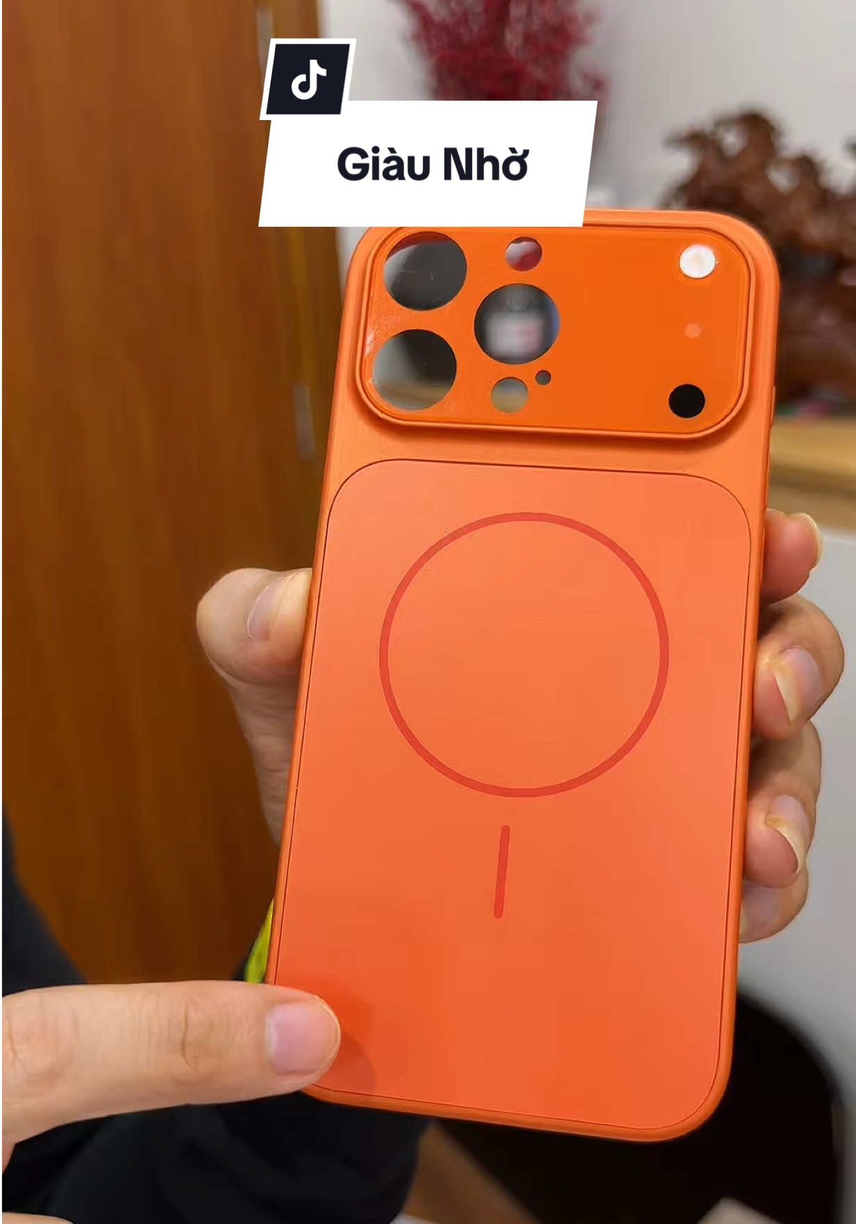 Giàu nhờ #haohomhinh #opdienthoai 