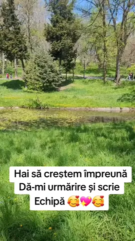 #crestemimpreuna #echipa #team #urmarirereciproca #crestere 