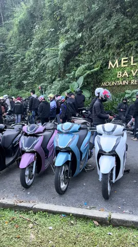 Đại hội ba vì 23/11/2025🤣#sh125#xuhuong #southvietnamscooterteam🇻🇳 