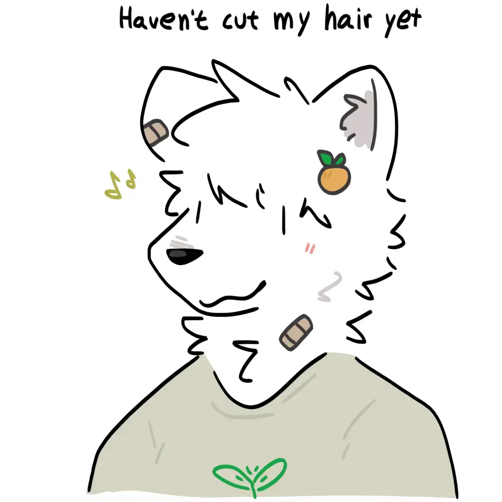 I cut my hair and I'm more handsome and cute haha ​​UwU✨🌱 the other one is for collab 💦😵 funny Samoyed🌱 #samoyed #Furryart #art #happy 