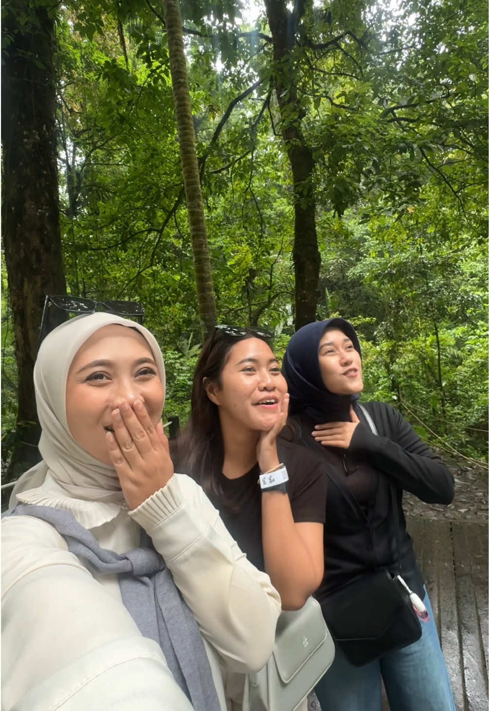 Segerrr banget liatnyaaa🍃 #sukabumi #curugsawer #sukabumiplacetogo #situgunungsukabumi 