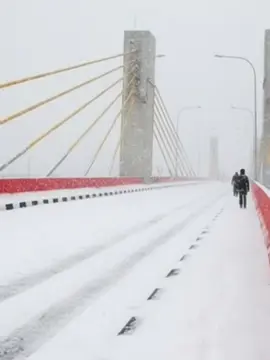 Moto GP Palembang.. #palembang #palembangtiktok #trending #motogp #ai 