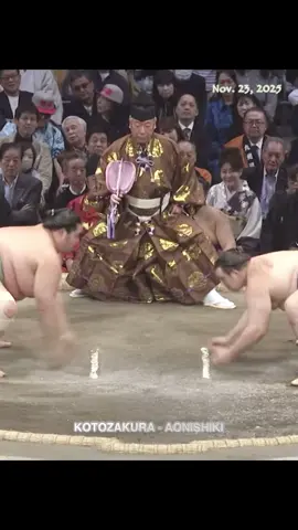 AONISHIKI🇺🇦 CHAMPIONSHIP NOVEMBER 2025 #sumo #sumowrestling #sumoedit #fyp #Capcut 