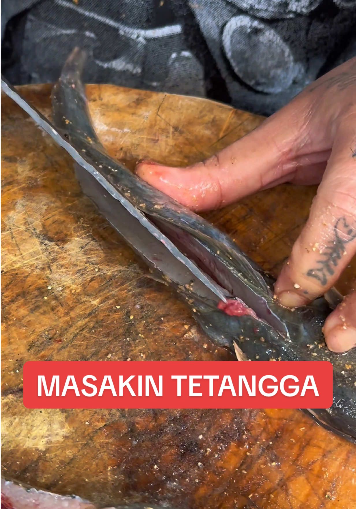 VIDEO LENGKAP DITIKTOK DAN YOUTUBE SAYA..!!!! MASAKIN menu special makan malam untuk dua DUO AYAM KATE 🤣 jadi ini @gresaidss & @3gpmelii adalah tetangga kontrakan saya di perumahan.  kalian kenal mereka gak sih..?? kok aku merasa pernah ketemu yaa….