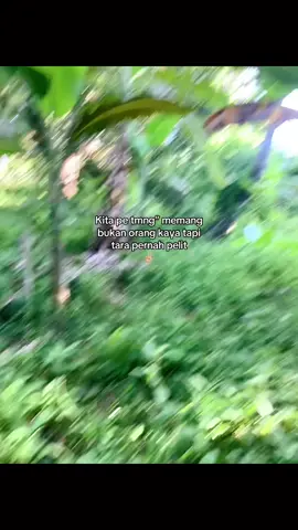 Satu darah #obipride🏝 #kumpul”#tmng” #fypシ゚ #fypppppppppp