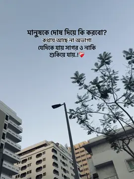 মানুষকে দোষ দিয়ে কি করবো?❤️‍🩹#trending #fypシ゚ #caption #viral #uae 