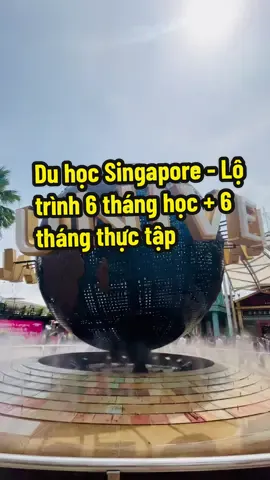 Du học Singapore - Lộ trình 6 tháng học + 6 tháng thực tập #duhoc #studyaboard #duhocsingapore #newlifeduhoc #xuhuong 