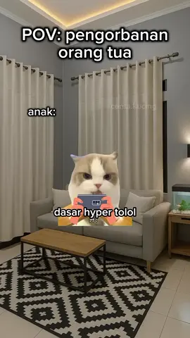 sedih banget cuy😭😭😭 #memekucing #kucinglucu #fyppppppppppppppppppppppp #fyppppppppppppppppppppppp #fyourpage 