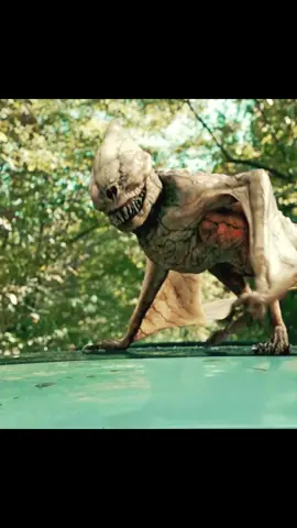 #movie #filmcommentary #usa #film #fpy 