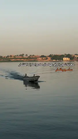 معانا شجرة وفرعها مال ما دواها إلا المنشار - فارس الصعيد عماد خميس القناوي  #ثاندرو #فوريو #صعيدي_ياخال_والاسم_لوحدو_مواااال #سوهاج_قنا_اسيوط_اسوان_المنيا_الاقصر #البلينا 