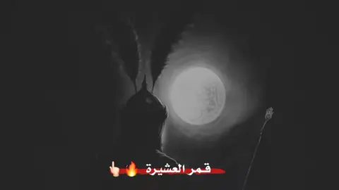 قمر العشيرة. 👆🏻🔥#هاشتاقات_تيك_توك_العرب #ياعلي_مولا_عَلَيہِ_السّلام #فاطمه_الزهراء #ياعلي_مدد 