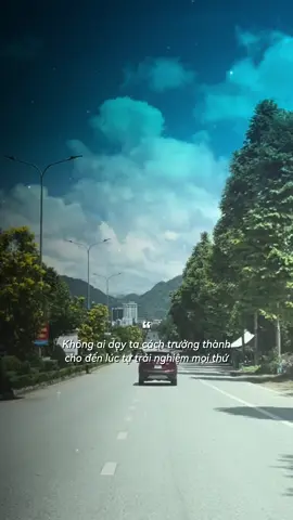 Làm gì có ai dạy ta cách trưởng thành #baihoccuocsong #vị #đời #truongthanh 