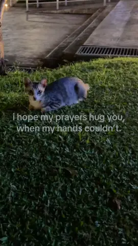 #him #relatable #fyp #kangen