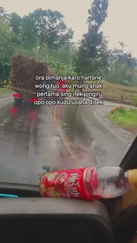 #fyppo#truckomplong#tebubalap