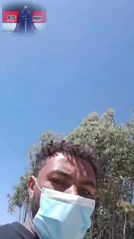 #creatorsearchinsights #dilbata gaarii isiniif hawwa#like share copy link#naaf godhaa ummata qarshitti# 