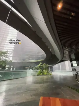 #creatorsearchinsights ৬ দিনের পরিশ্রম  কেউ দেখেনি🥹#creatorsearchinsights2025 #fyp #vairal #trand 