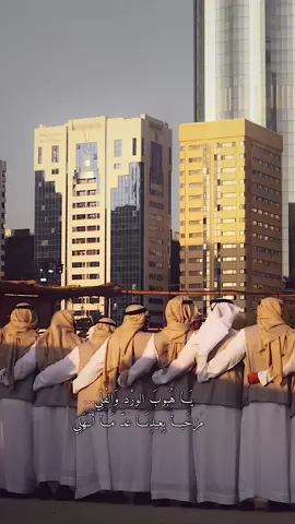 ❤️💚🤍🖤 #uae #fyp 