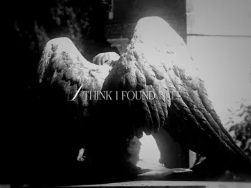 Female robbery - The neighbourhood     #song #theneighborhood #songforyou #aesthetic #fyp 