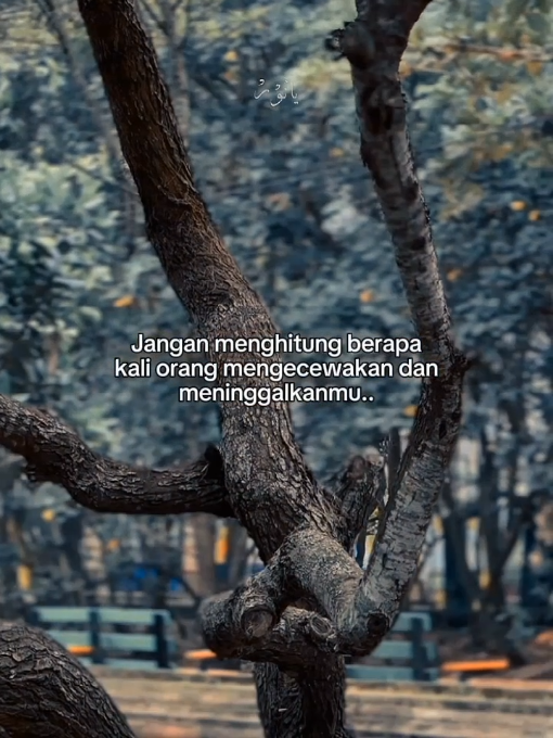 #storytime #reminders #selfreminder #xyzbcafypシ #4u 