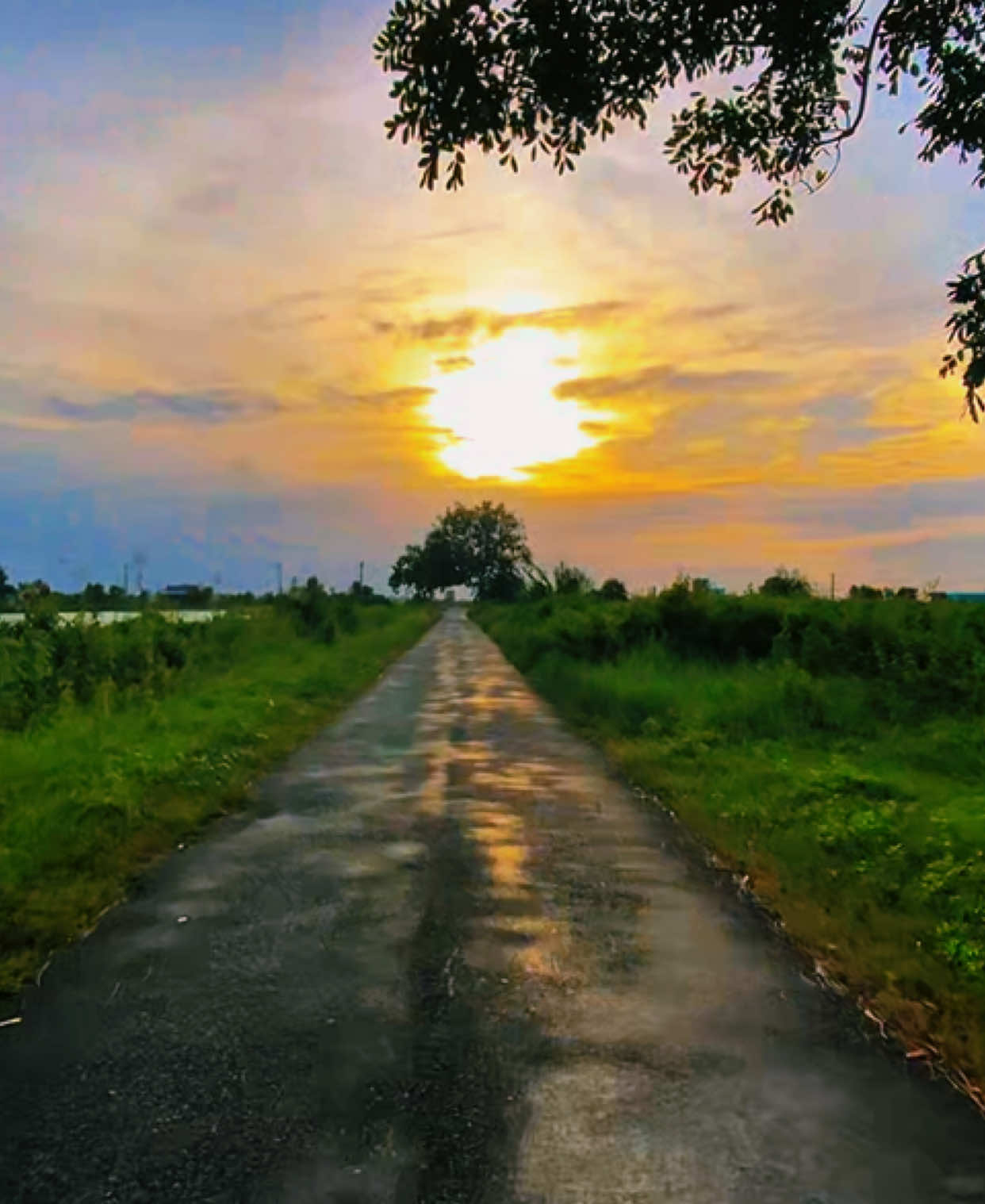 Phần 20 |“Anh yêu em nhiều nhiều biết bao nhiêu 🥰🍀#chill#canhdepmientay#xuhuong 