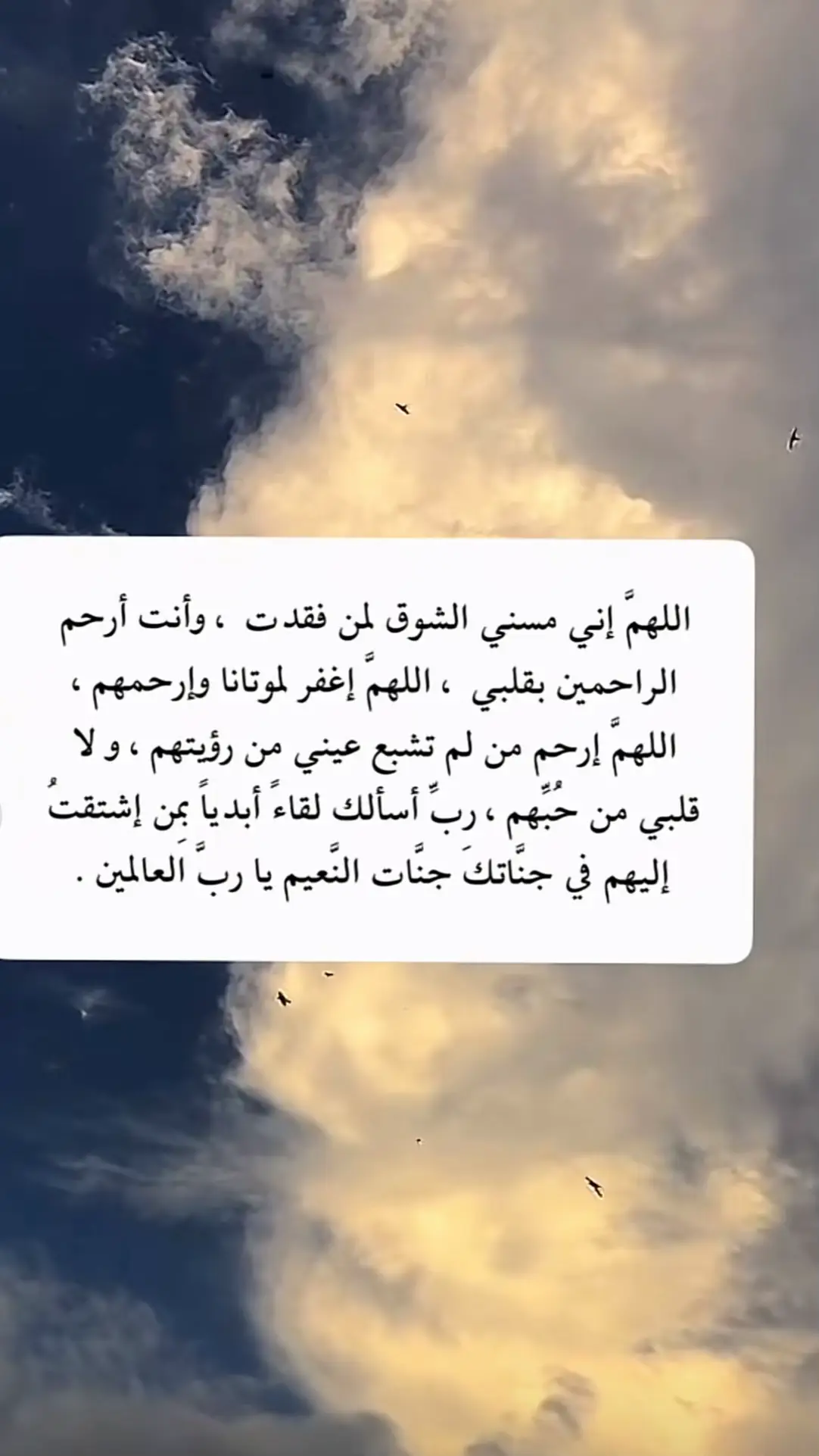 اللهم ارحم جميع موتا المسلمين  اللهم ارحم زوجي وابني للهم اجمعهم مع النبيين والصديقين والشهداء والصالحين  #اللهم_ارحم_فقيد_قلبي 