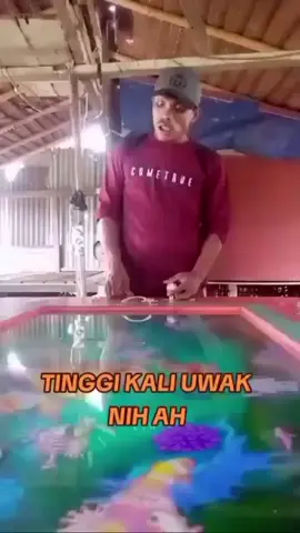 #newzone #indiaindonesia #viraltiktok 