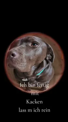 #erinnerung  🤣🤣🤣🤣🤣🤣 #wertschätzung #ü50 #herzmensch #🖤🌹darklegends🌹🖤 
