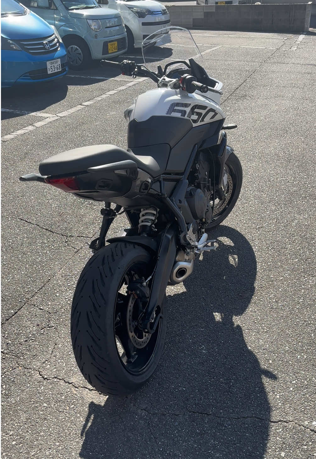 🔝 #tigersport660#triumph #fyp#viral#sonho 