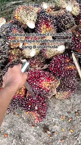 besi sekecil itu menjadi saksi 😊 #kulisawit #sadvibes🥀 #foryou #xzbcya #fyp 