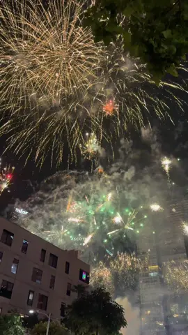 Amazing fireworks display 🎆🎇 #bgc #fyp #christmas 