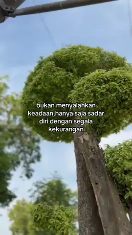 #masukberandafyp #kataktabijak #fypp 