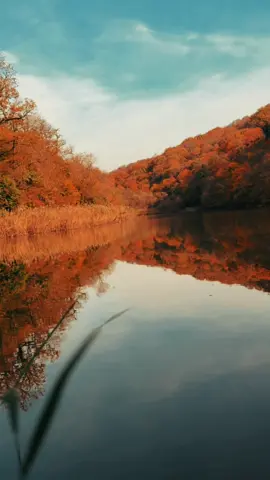 Artık Yoruldum #gezilecekyerler #arabeskşarkılar #arabeskinkralı🅱️🅰️🅱️🅰️ #arabeskdamarşarkılar #arabeskmüzik 