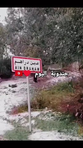 #تونس#جندوبة#اليوم#ثلوج