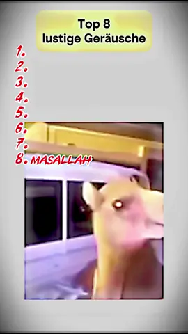 #wenntieresprechenkönnten #Meme #top5 #lustigevideos #2homiedawgs 