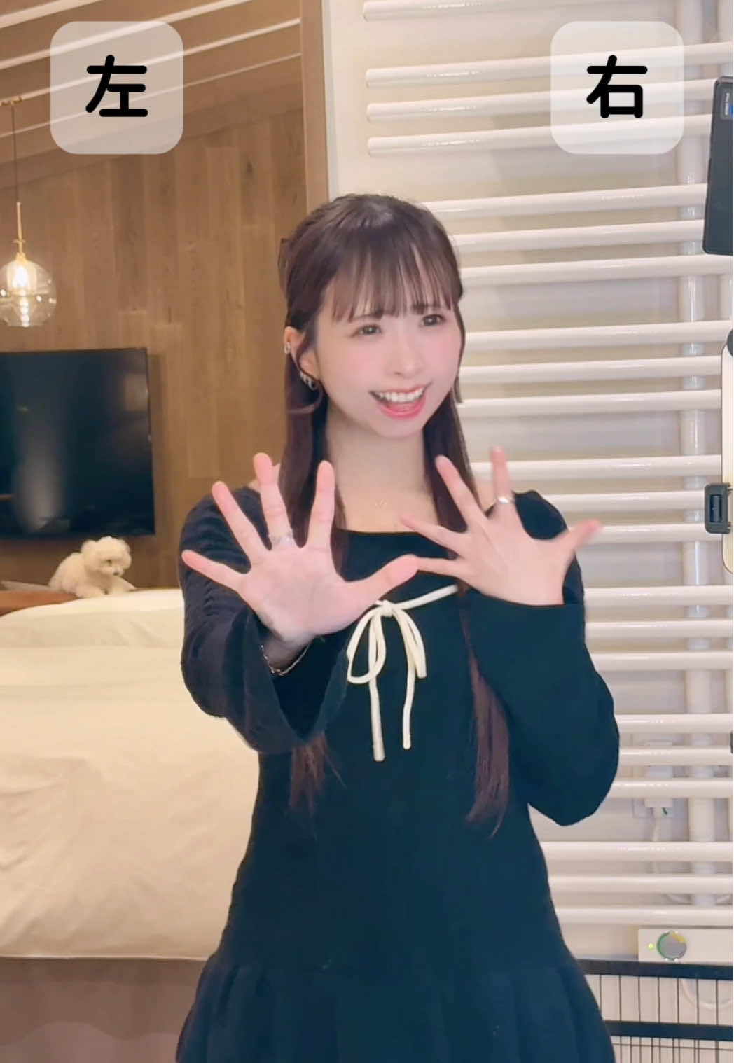 #Luvless さんの『メリーゴーランデブー』TikTok振付担当しました🎠🌲 うちのしろい妖精さんにも出演いただきました🐩 @#Luvless #メリーゴーランデブー #RINDO #振付師本人が踊ってみた 