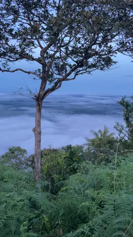 rentap 23-11-2025 #bukitrentap #kalimantanbarat #foryou #lewatberanda 