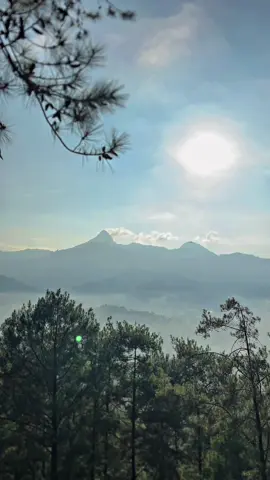 Best banget view Selokurung, secantik itu ciptaan tuhan. Sepanjang trekking udah ditampilin memandangan dan suasana yang best best best pol. Berangkat pagi bisa dapet sunrise yang super indah, berangkat sore juga bisa dinikmatin sunset yang tenang🌄🌅 Yuk registrasi online lewat aplikasi TiketPendakian Video Tiktok By: rmaznr Super Apps Pendakian: @tiketpendakian