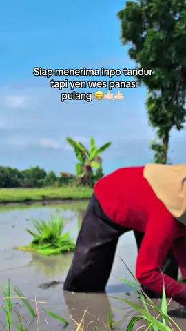Cocok to🤣 #fy #buruhtani #petanimuda #petaniindonesia🇮🇩🇮🇩🇮🇩🌿🌿 