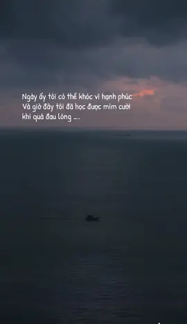 Tôi đã học được cách mỉm cười khi quá đau lòng …#sad #time #didennoicogio #smile 