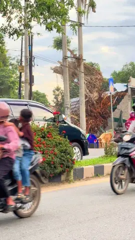 Ada apa nihh warung beserta akar rungkad di metro jalur 2 16c . . #metro #27 #fyp #viral 