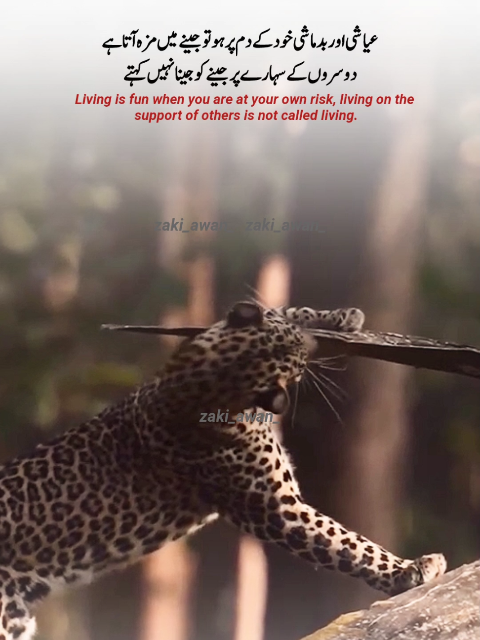 #urdupoetry #dontunderreview #unfreezmyaccount #1millionaudition #VIRAL #viral #viewsproblem #foryou #foryoupage #fyp #zaki_awan_ 