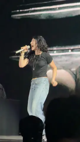 I WANNA 👊🏻 THE MIRROR! @Lorde #ultrasoundtour #lorde #dublin 