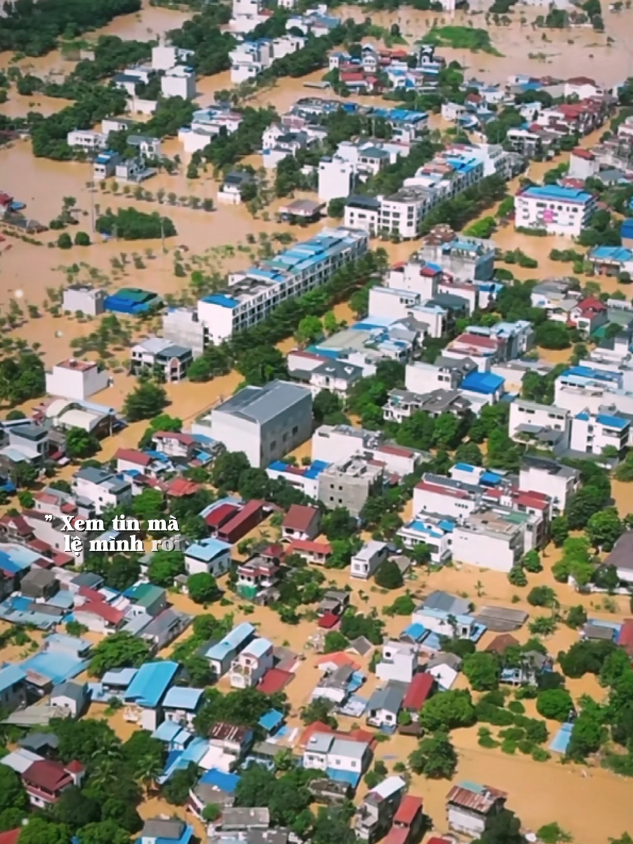 Cầu bớt gió xin trời cho hết bão... #CapCut #capcutpioneer #pioneertemplate #lyric #nhachaymoingay 