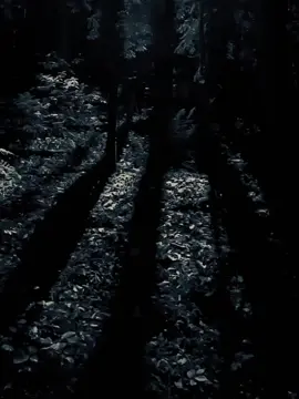 #CapCut #dianastemplate #fypage #foryou #quotes 