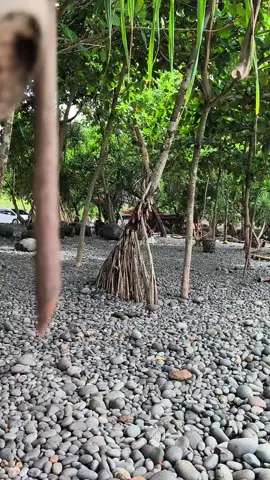 pantai karang mutiara pelabuhan ratu #pantaiselatan #pelabuhanratu_sukabumi #pantaikarangmutiara 