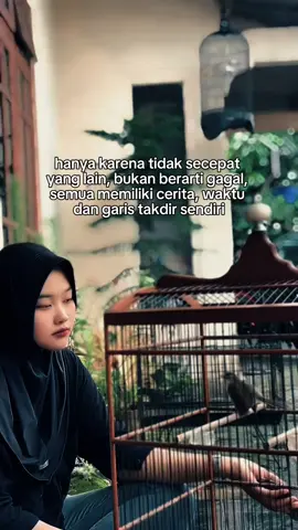 Cuma sang perintis yang berjuang sendirian🙂#kicau #kicauburung #kicaumaniaindonesia #kicaumanianusantara #kicaumania_indonesia 