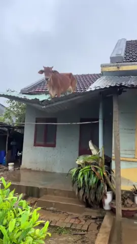 ขึ้นไปได้ยังไง #คลิปตลกขําๆ #คลิปฮาๆ #คลิปตลกขำๆฮาๆ #คลิปสร้างรอยยิ้ม #คลิปสนุกสนาน 