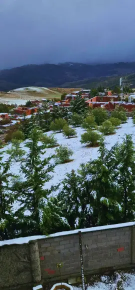 سطيف 19 30 #CapCut 