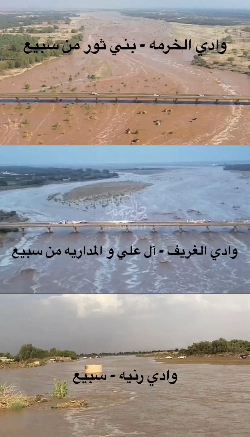 #سبيع_الغلباء #الخرمه_الغريف_رنيه_رماح #الزكور #بني_عمر #آل_عمير 