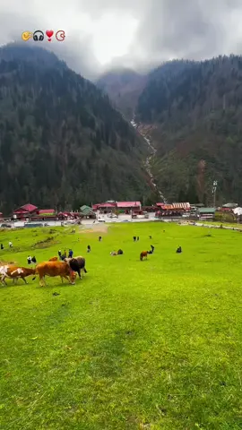 #ቁርአን_የልቤ_ብርሃን✅🥀🌹🕋🕌 #🤲🤲🕋🕋🤲🤲 